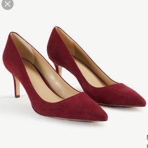 Ann Taylor Eryn Suede Pump